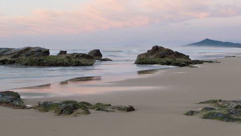 Bongil Bongil National Park - Goulburn Accommodation 3