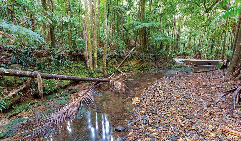 Karangi NSW Goulburn Accommodation