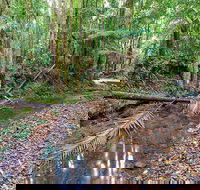 Ulidarra National Park - Goulburn Accommodation