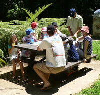 The Pines picnic area - Goulburn Accommodation