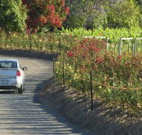 Cassegrain Wines - Goulburn Accommodation