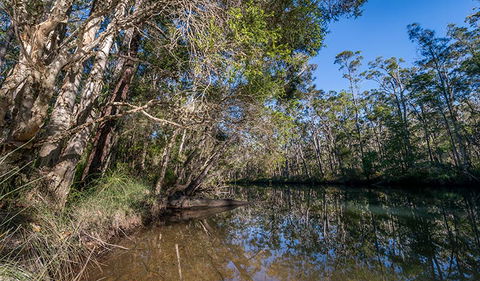 Queens Lake Nature Reserve - Goulburn Accommodation 3