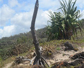Chinamans Beach Evans Head - Goulburn Accommodation 2