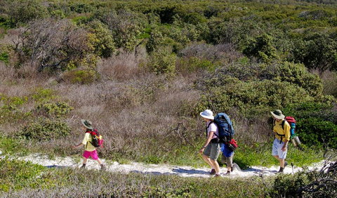 Yuraygir Coastal Walk - Goulburn Accommodation 0