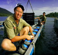 Armstrong Oysters - Goulburn Accommodation