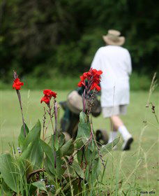Teven Valley Golf Course - Goulburn Accommodation 3