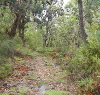 Kinchela Trig Lookout walk - Goulburn Accommodation