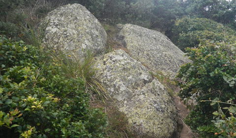 Korogoro Walking Track - Goulburn Accommodation 2
