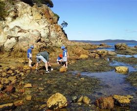 Sapphire Coast Marine Discovery Centre - Goulburn Accommodation 0