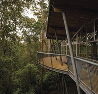 Tarkine Forest Adventures - Dismal Swamp - Goulburn Accommodation
