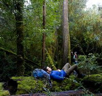 The Tarkine Drive - Goulburn Accommodation