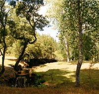 Oldina Picnic Area - Goulburn Accommodation
