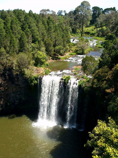 A1 Coffs Coast Tours - Goulburn Accommodation 4