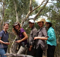 Echidna Walkabout Nature Tours - Goulburn Accommodation