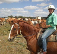 Myella Farm Stay Tours - Goulburn Accommodation