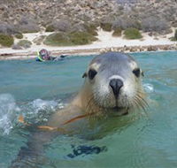 Calypso Star Charters - Goulburn Accommodation