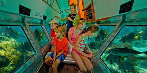 Big Cat Green Island Reef Cruises - Goulburn Accommodation 11