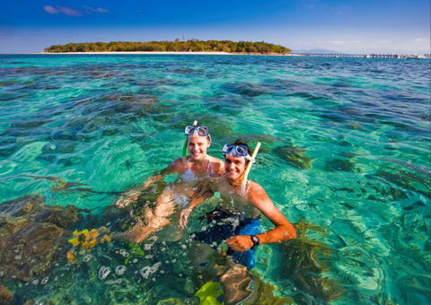 Big Cat Green Island Reef Cruises - Goulburn Accommodation 12