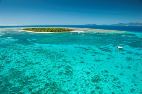 Big Cat Green Island Reef Cruises - Goulburn Accommodation 16