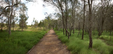 Billai Dhagun Circuit (Place Of She-Oaks) - Goulburn Accommodation 0