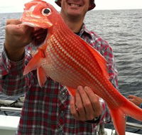 Goin' Off Safaris - Goulburn Accommodation