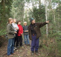 Great Western Tiers Forest Walks Tasmania - Goulburn Accommodation