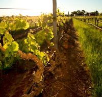 Kaesler Old Vine Vineyard Tour - Goulburn Accommodation