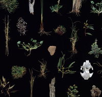 Weswal Gallery - Goulburn Accommodation