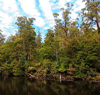 A R Reflections River Cruises - Goulburn Accommodation