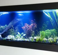 Aquariums in Cairns - Goulburn Accommodation