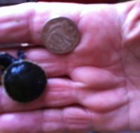 Hurleys Aquariums - Goulburn Accommodation