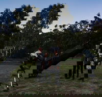 Stargazing Busselton with Mobile Observatory - Goulburn Accommodation