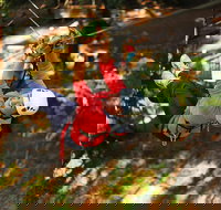 Trees Adventure Lane Poole Park - Treetop  Zipline Experience - Goulburn Accommodation