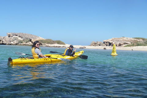 Seal Island And Penguin Island Or Point Peron Sea Kayak Tour - Goulburn Accommodation 3