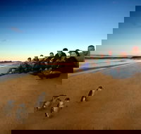 Phillip Island Ultimate Penguin Eco Tour or Skybox Experience - Goulburn Accommodation
