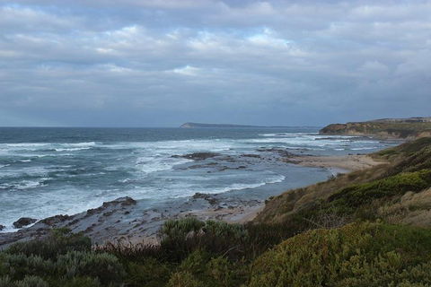Wilsons Promontory Day Trip From Phillip Island - Goulburn Accommodation 1