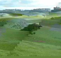 Day Tour of Phillip Island  Surrounding Region - Goulburn Accommodation