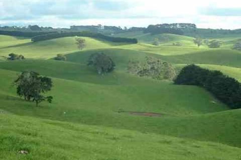 Day Tour Of Phillip Island & Surrounding Region - Goulburn Accommodation 0