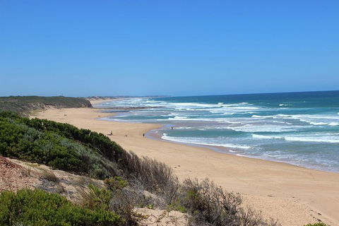 Day Tour Of Phillip Island & Surrounding Region - Goulburn Accommodation 1