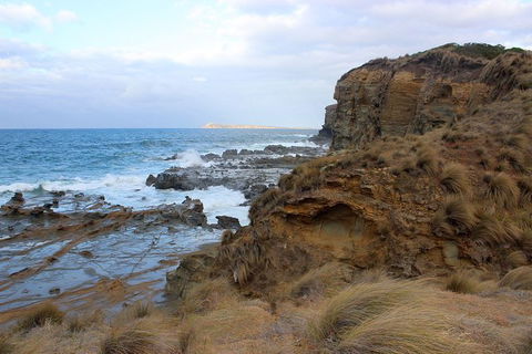 Day Tour Of Phillip Island & Surrounding Region - Goulburn Accommodation 11