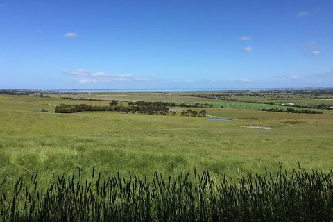 Day Tour Of Phillip Island & Surrounding Region - Goulburn Accommodation 4