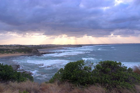 Day Tour Of Phillip Island & Surrounding Region - Goulburn Accommodation 12