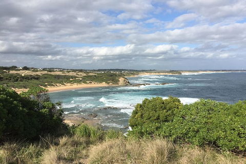 Day Tour Of Phillip Island & Surrounding Region - Goulburn Accommodation 10