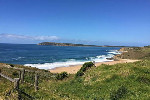 Day Tour Of Phillip Island & Surrounding Region - Goulburn Accommodation 5
