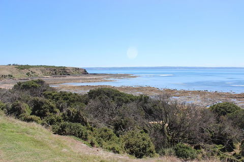 Day Tour Of Phillip Island & Surrounding Region - Goulburn Accommodation 2