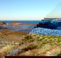 Phillip Island Walking  Bird Watching Tour - Goulburn Accommodation