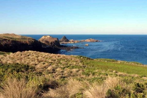 Phillip Island Walking & Bird Watching Tour - Goulburn Accommodation 0