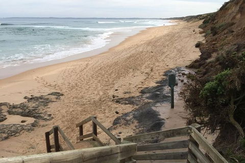 Phillip Island Walking & Bird Watching Tour - Goulburn Accommodation 3
