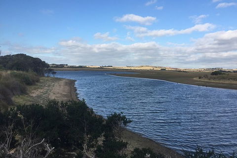 Phillip Island Walking & Bird Watching Tour - Goulburn Accommodation 7
