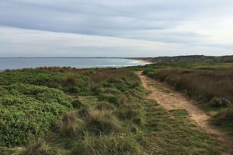 Phillip Island Walking & Bird Watching Tour - Goulburn Accommodation 5